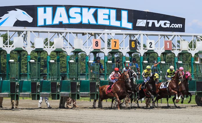 haskell stakes new