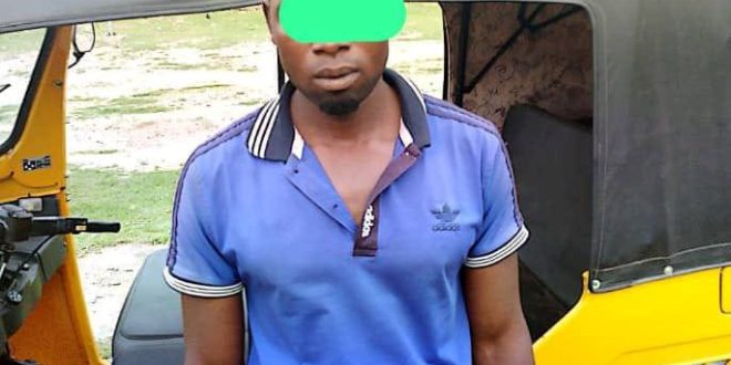 Man arrested with stolen tricycle in Adamawa