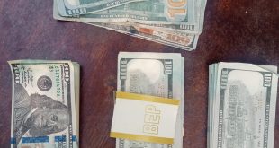 NSCDC arrests two suspects over possession of counterfeit foreign currency in Jigawa