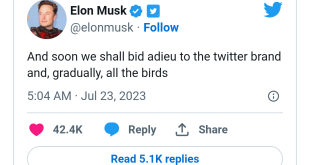 Soon we shall bid adieu to the twitter brand and, gradually, all the birds -  Elon Musk announces changes to Twitter