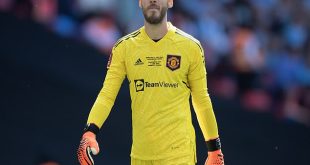 Spanish goalkeeper David de Gea confirms he is leaving Manchester United after 12 years