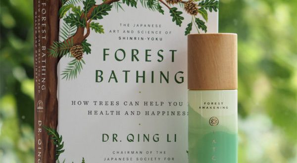 Tatcha Forest Awakening Body Care Review | British Beauty Blogger