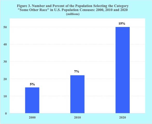 The Race Question in Americas Population Census