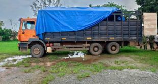 Truck conveying gun bullets to Anambra intercepted by soldiers