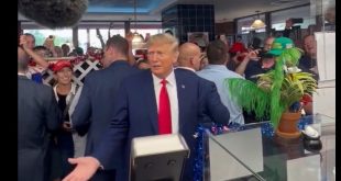 Trump went to Dairy Queen and didn't know what a Blizzard was.