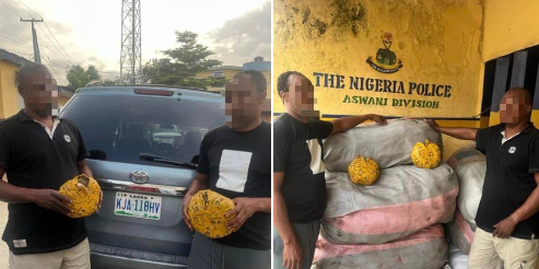 Two arrested as police intercepts N13m worth of illicit drugs
