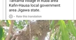 35-year-old man commits suicide over hardship in Jigawa