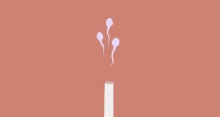 7 interesting facts about the sperm every man should know