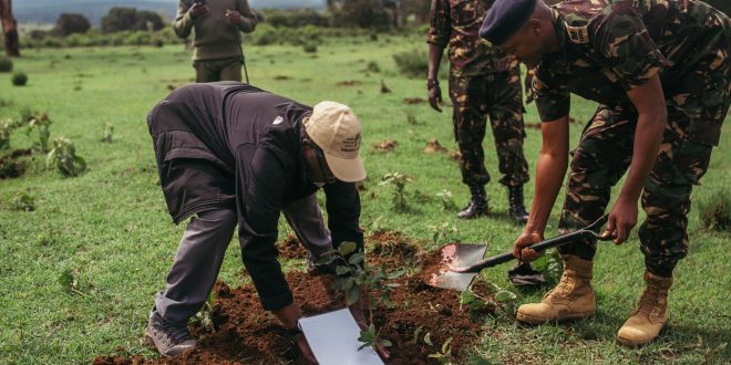 Drought and conflict are hurting Kenyan forests. Can the army fix things?