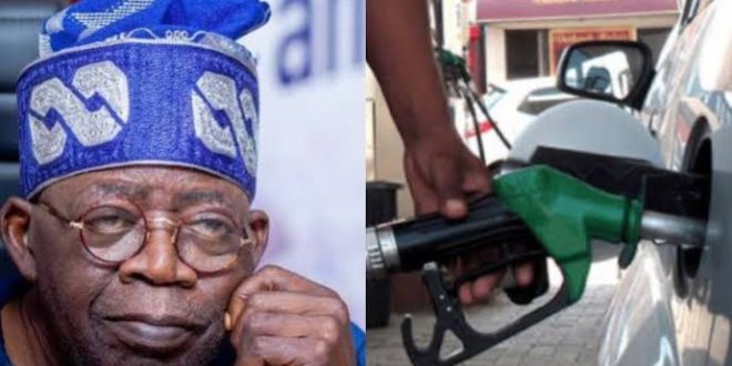 There will be no fuel price hike - Tinubu assures Nigerians