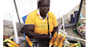 Trending photo of corn seller selling roasted corn in bits
