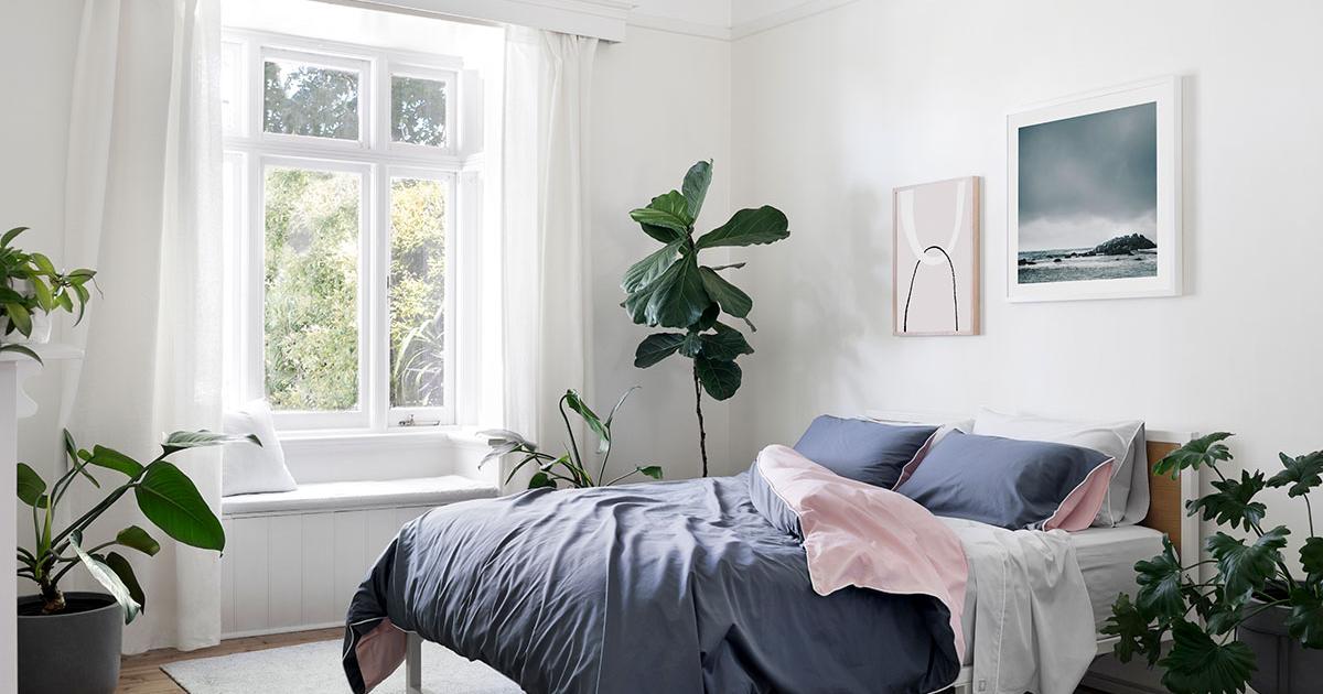 You can keep these 5 houseplants in your bedroom for peace of mind