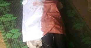 Bandits kill two, kidnap 3 others in Kaduna
