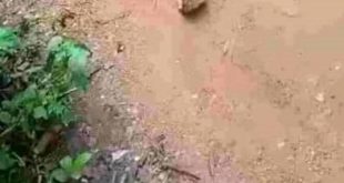 Communal crisis looms as gunmen shoots 28-year-old farmer dead over land dispute in Osun