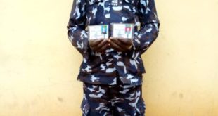 Fake policeman bags 17 months imprisonment in Abuja