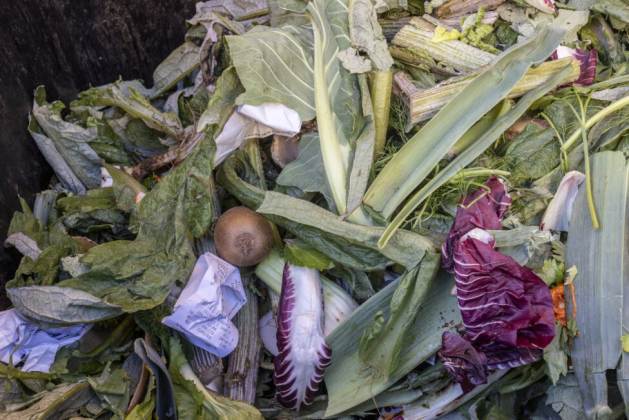 Food Loss and Waste: An Unacceptable Reality