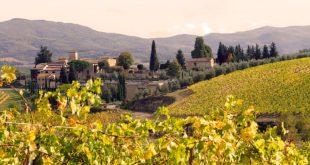 From Tuscany to Tours: seven European breaks for wine lovers