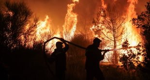 Greece is fighting wildfires the wrong way