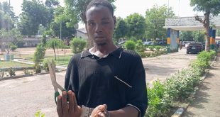 Kano Police arrest most wanted notorious thug "Big Star" after he inflicted life-threatening injuries on a victim