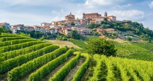 Know your taleggio from your castelmagno? Take the Piedmont food and culture quiz