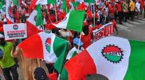 NLC boycotts meeting with Federal government, insists on going on warning strike tomorrow