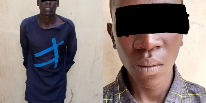 Police arrest two members of kidnap syndicate terrorizing communities in Yobe