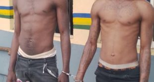Police arrest two suspected cultists in Ogun