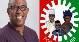 Presidential Election Tribunal: Peter Obi, Labour Party file appeal on 51 grounds as they head to Supreme Court