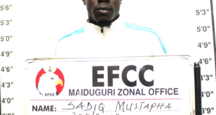 Court jails man for land fraud in Maiduguri