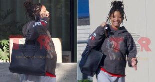 Halle Bailey fuels pregnancy rumours after she's spotted with a 'baby bump'
