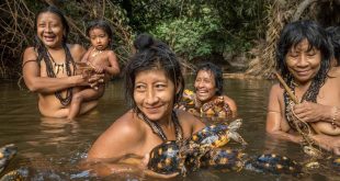 Here's why Amazonian women are expected to have multiple sexual partners