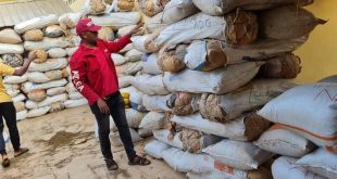 NDLEA seizes 6 tons of skunk in 5 states