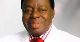 Politics is the only lucrative in Nigeria - Afe Babalola