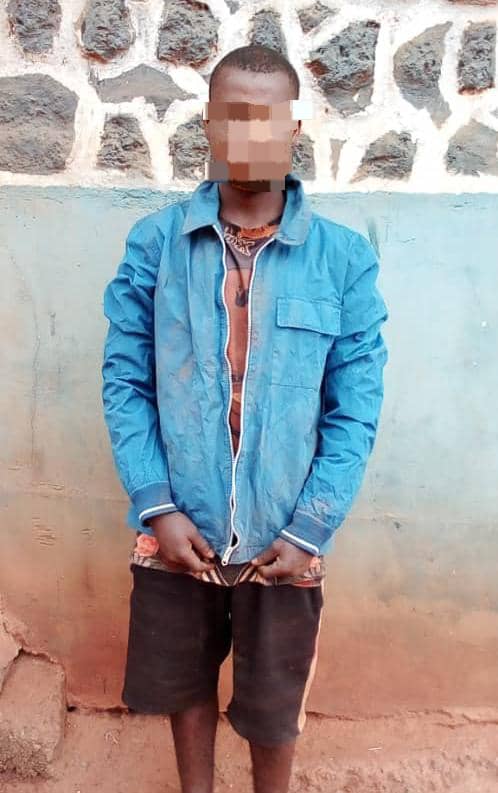 Suspected child trafficker arrested while attempting to abduct a 15-month-old girl from her parent