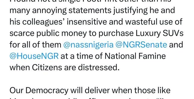 Utterly disgraceful and disgusting act of tone-deafness on display- Oby Ezekwesili slams Senator Karimi for defending lawmakers decision to purchase N160m SUVs each