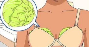 Why women put cabbage leaves on their breasts