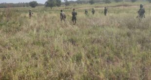 Army and vigilante rescue six kidnapped victims in Kebbi forest