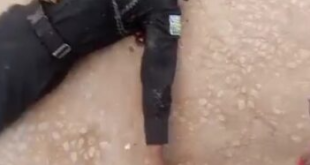 Gunmen kill police officers in Imo