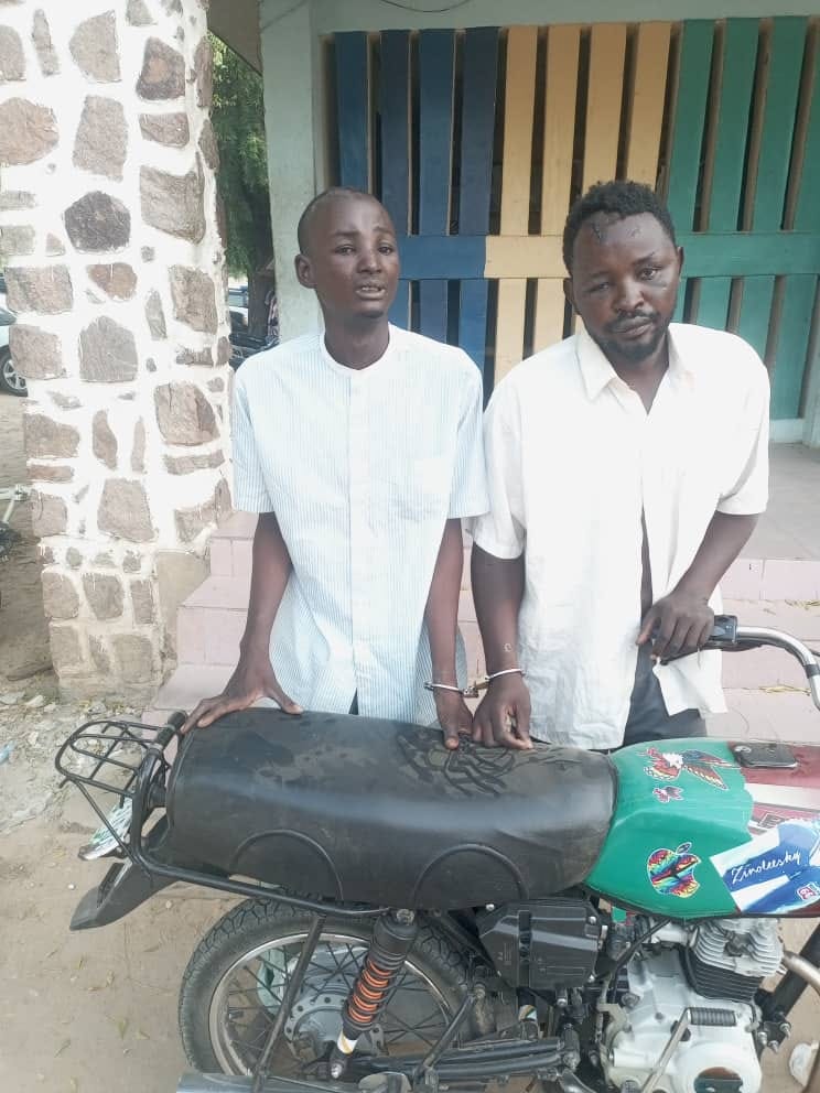 Police arrest 16 suspected motorcycle thieves, vandals, phone snatchers and human traffickers in Jigawa