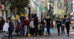 Thousands of Palestinians flee northern Gaza in ‘desperate journey’