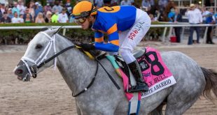 White Abarrio Breeders Cup Classic Odds