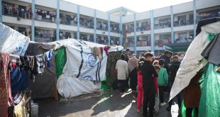 Catastrophic Shortage of Food in Gaza—Starvation as a Weapon of War