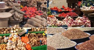 Experts proffer solutions to rising food inflation