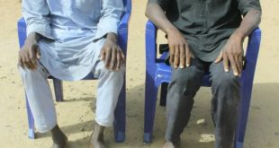 Kano police arrest 16 suspected kidnappers, armed robbers and 24-year-old man who faked own kidnap and demanded N600k ransom from his family