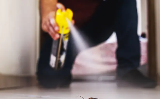 Man blows up his apartment trying to kill cockroach with insecticide