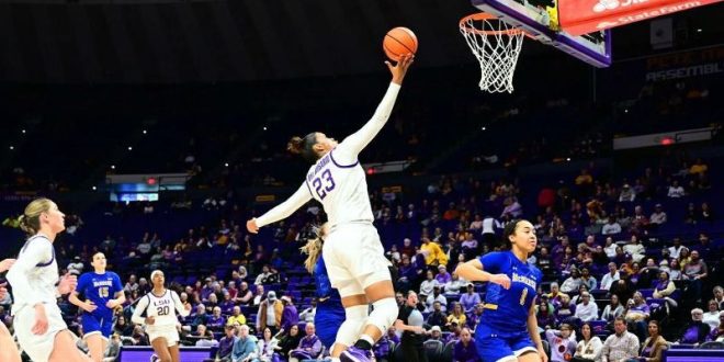 No. 7 LSU shatters program records in win over McNeese