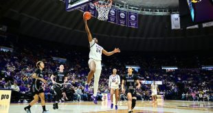 No. 7 LSU's double-double duo takes down Lady Demons