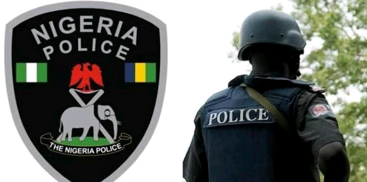 Police rescue kidnapped housewife in Kaduna