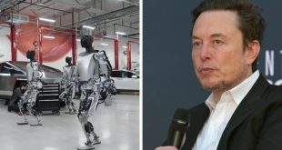 Tesla robot attacks an engineer at the company's Texas factory during violent malfunction