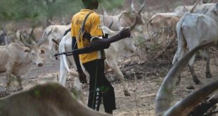 15-year-old herder stabbed in Plateau